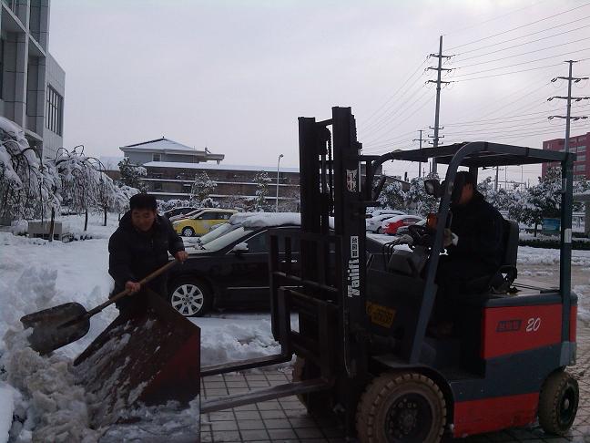 ��ѩ��˫��